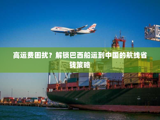 高运费困扰?解锁巴西船运到中国的航线省钱策略 高运费困扰?解锁巴西船运到中国的航线省钱策略