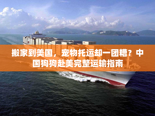 搬家到美国，宠物托运却一团糟？中国狗狗赴美完整运输指南