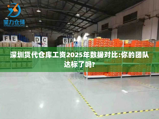 深圳货代仓库工资2025年数据对比:你的团队达标了吗? 深圳货代仓库工资2025年数据对比:你的团队达标了吗?