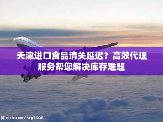 天津进口食品清关延迟？高效代理服务帮您解决库存难题