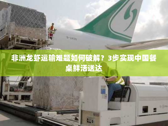 非洲龙虾运输难题如何破解?3步实现中国餐桌鲜活送达 非洲龙虾运输难题如何破解?3步实现中国餐桌鲜活送达