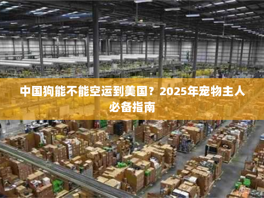 中国狗能不能空运到美国?2025年宠物主人必备指南 中国狗能不能空运到美国?2025年宠物主人必备指南