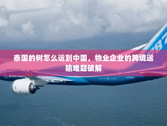 泰国的树怎么运到中国,物业企业的跨境运输难题破解 泰国的树怎么运到中国,物业企业的跨境运输难题破解