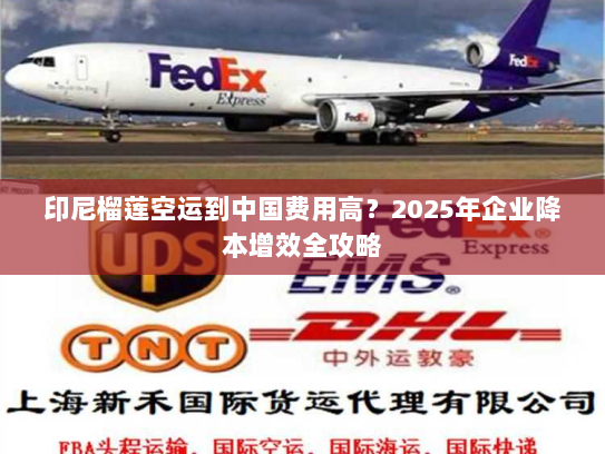 印尼榴莲空运到中国费用高？2025年企业降本增效全攻略