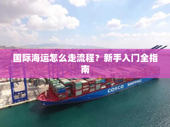 国际海运怎么走流程？新手入门全指南