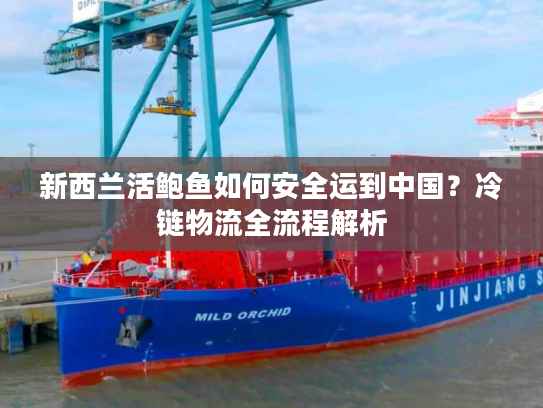 新西兰活鲍鱼如何安全运到中国？冷链物流全流程解析
