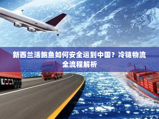 新西兰活鲍鱼如何安全运到中国?冷链物流全流程解析 新西兰活鲍鱼如何安全运到中国?冷链物流全流程解析