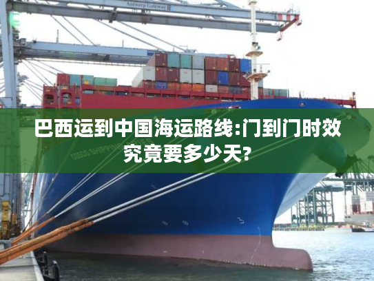 巴西运到中国海运路线:门到门时效究竟要多少天?