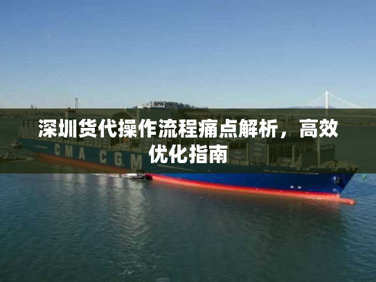 深圳货代操作流程痛点解析，高效优化指南