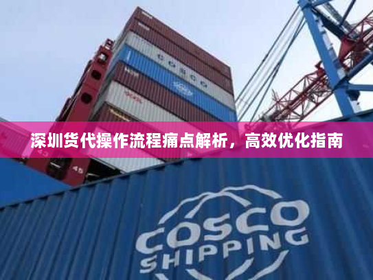 深圳货代操作流程痛点解析，高效优化指南