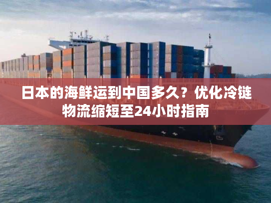 日本的海鲜运到中国多久？优化冷链物流缩短至24小时指南