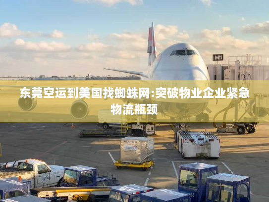 东莞空运到美国找蜘蛛网:突破物业企业紧急物流瓶颈 东莞空运到美国找蜘蛛网:突破物业企业紧急物流瓶颈