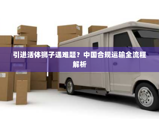 引进活体狮子遇难题?中国合规运输全流程解析 引进活体狮子遇难题?中国合规运输全流程解析