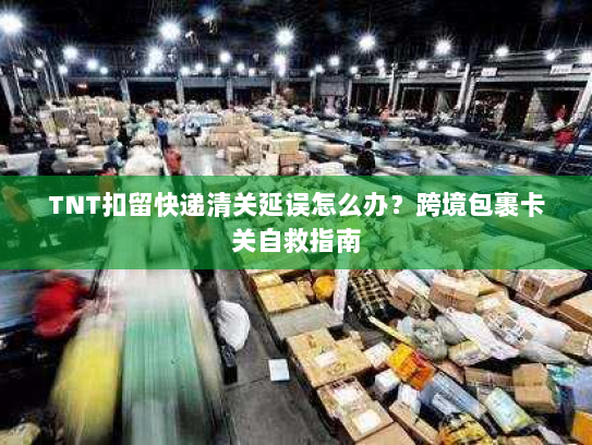 TNT扣留快递清关延误怎么办？跨境包裹卡关自救指南