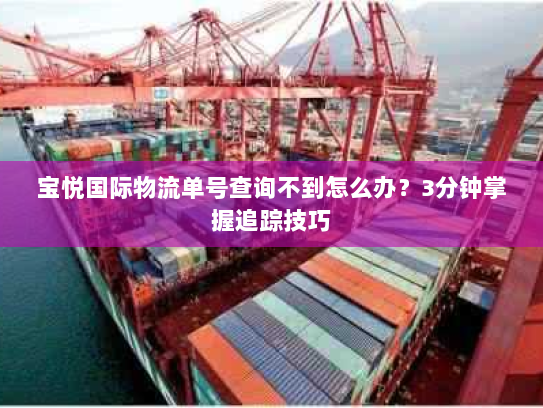 宝悦国际物流单号查询不到怎么办？3分钟掌握追踪技巧