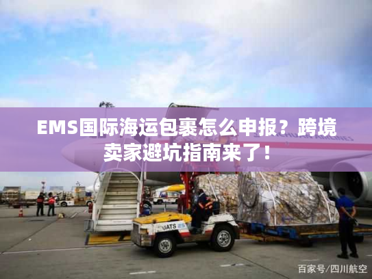 EMS国际海运包裹怎么申报？跨境卖家避坑指南来了！
