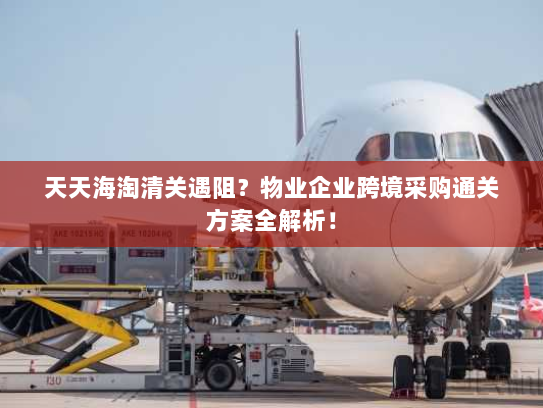 天天海淘清关遇阻?物业企业跨境采购通关方案全解析! 天天海淘清关遇阻?物业企业跨境采购通关方案全解析!