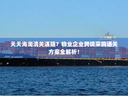 天天海淘清关遇阻?物业企业跨境采购通关方案全解析! 天天海淘清关遇阻?物业企业跨境采购通关方案全解析!