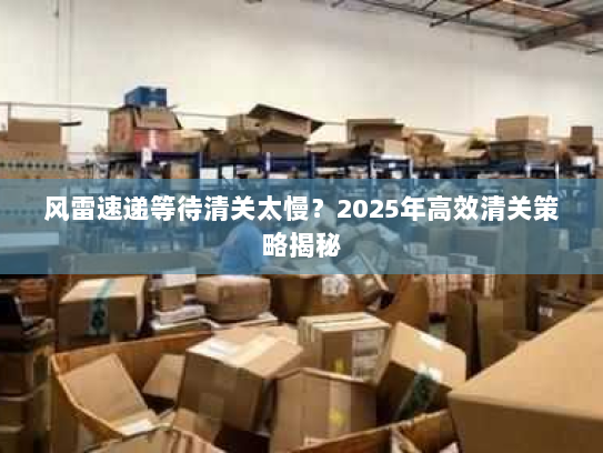 风雷速递等待清关太慢?2025年高效清关策略揭秘 风雷速递等待清关太慢?2025年高效清关策略揭秘