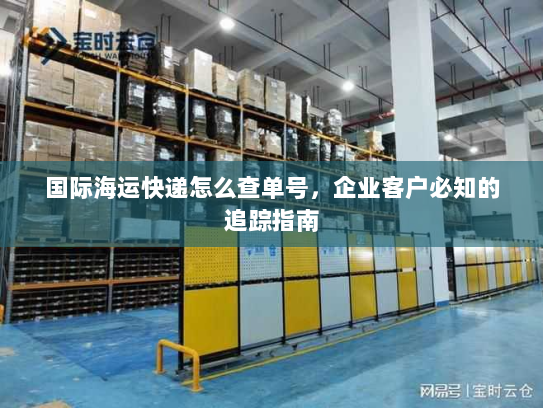 国际海运快递怎么查单号,企业客户必知的追踪指南 国际海运快递怎么查单号,企业客户必知的追踪指南