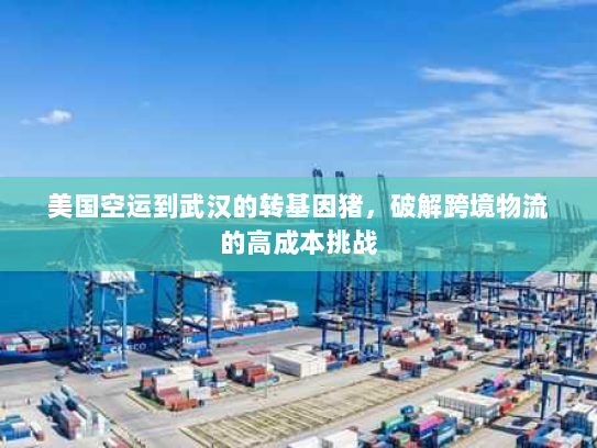 美国空运到武汉的转基因猪,破解跨境物流的高成本挑战 美国空运到武汉的转基因猪,破解跨境物流的高成本挑战