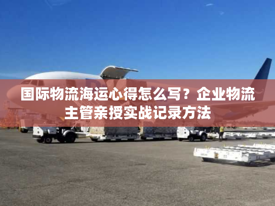 国际物流海运心得怎么写？企业物流主管亲授实战记录方法