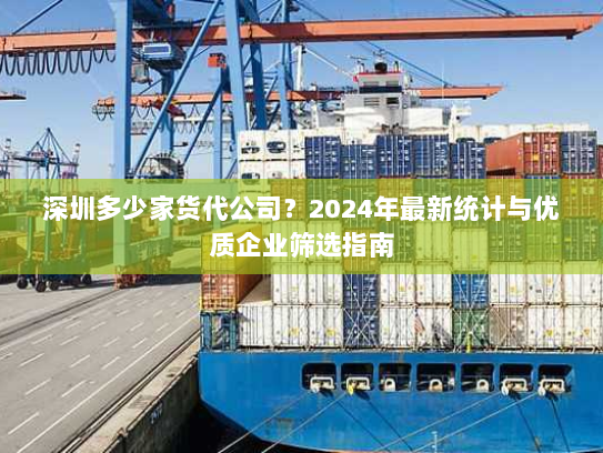 深圳多少家货代公司?2024年最新统计与优质企业筛选指南 深圳多少家货代公司?2024年最新统计与优质企业筛选指南