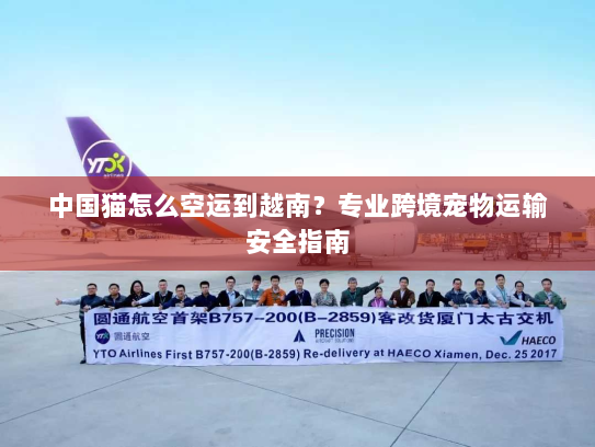 中国猫怎么空运到越南?专业跨境宠物运输安全指南 中国猫怎么空运到越南?专业跨境宠物运输安全指南