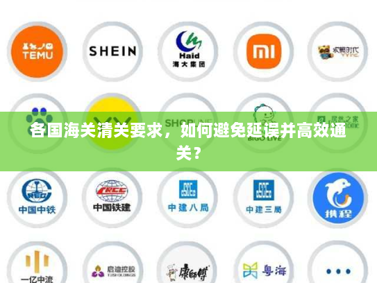 各国海关清关要求，如何避免延误并高效通关？