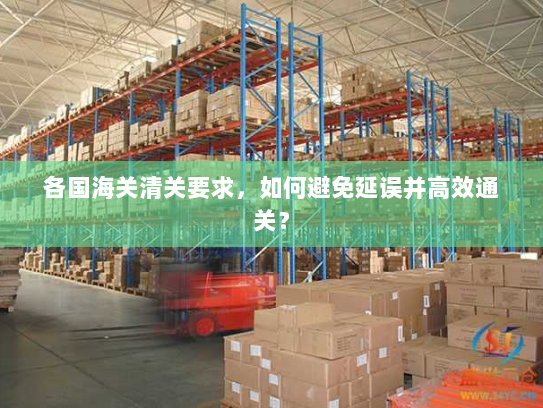 各国海关清关要求，如何避免延误并高效通关？
