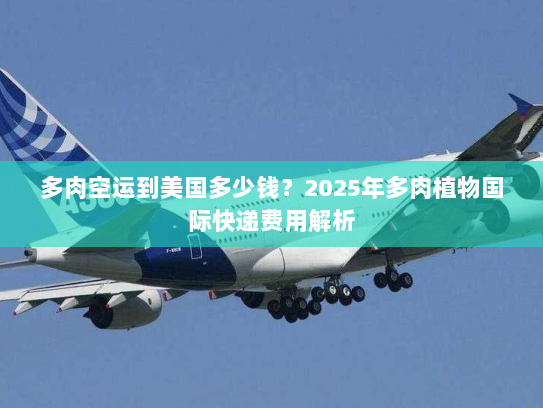 多肉空运到美国多少钱？2025年多肉植物国际快递费用解析