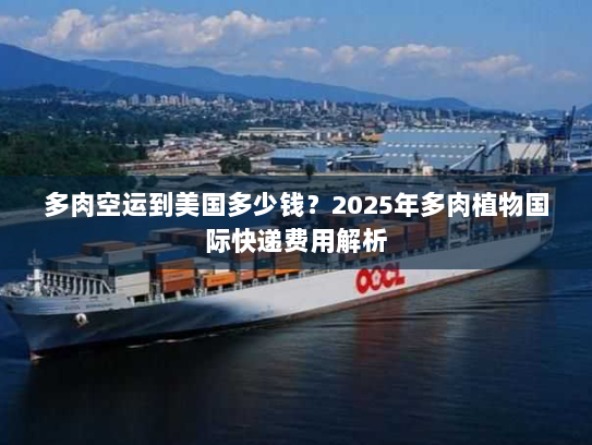 多肉空运到美国多少钱？2025年多肉植物国际快递费用解析