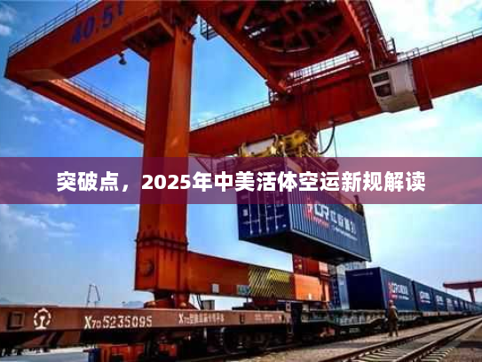 突破点,2025年中美活体空运新规解读 突破点,2025年中美活体空运新规解读