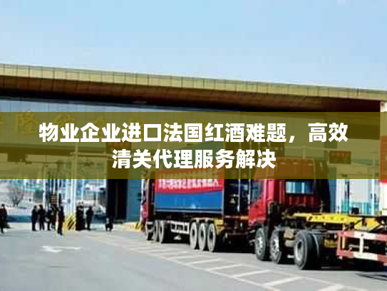 物业企业进口法国红酒难题，高效清关代理服务解决