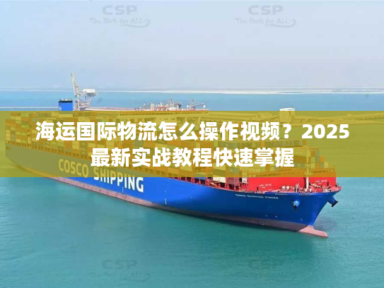 海运国际物流怎么操作视频？2025最新实战教程快速掌握