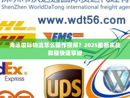 海运国际物流怎么操作视频？2025最新实战教程快速掌握