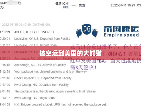 被空运到美国的大熊猫 被空运到美国的大熊猫