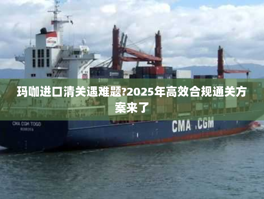 玛咖进口清关遇难题?2025年高效合规通关方案来了