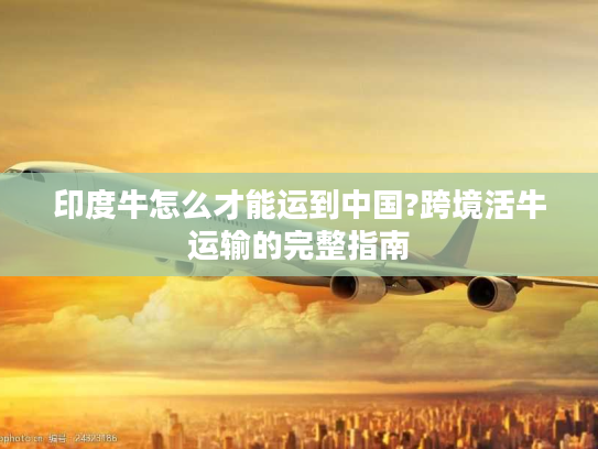 印度牛怎么才能运到中国?跨境活牛运输的完整指南 印度牛怎么才能运到中国?跨境活牛运输的完整指南