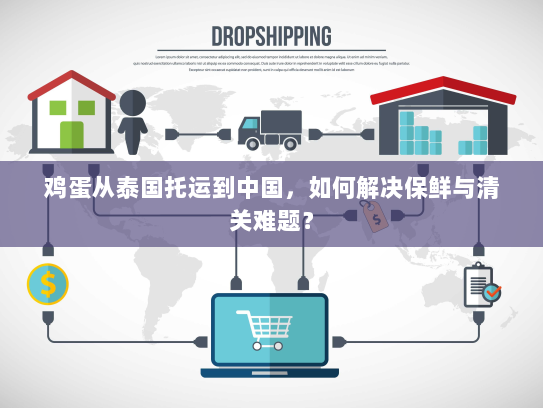 鸡蛋从泰国托运到中国,如何解决保鲜与清关难题? 鸡蛋从泰国托运到中国,如何解决保鲜与清关难题?