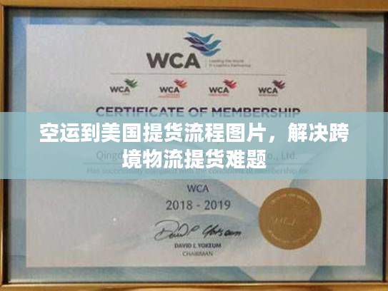 空运到美国提货流程图片，解决跨境物流提货难题