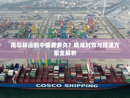 南非转运到中国要多久?精准时效与提速方案全解析 南非转运到中国要多久?精准时效与提速方案全解析
