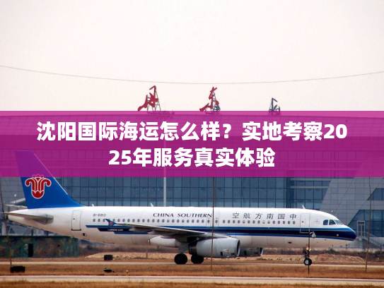 沈阳国际海运怎么样？实地考察2025年服务真实体验