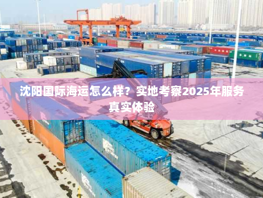 沈阳国际海运怎么样？实地考察2025年服务真实体验
