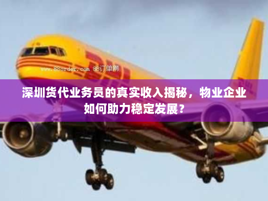深圳货代业务员的真实收入揭秘，物业企业如何助力稳定发展？