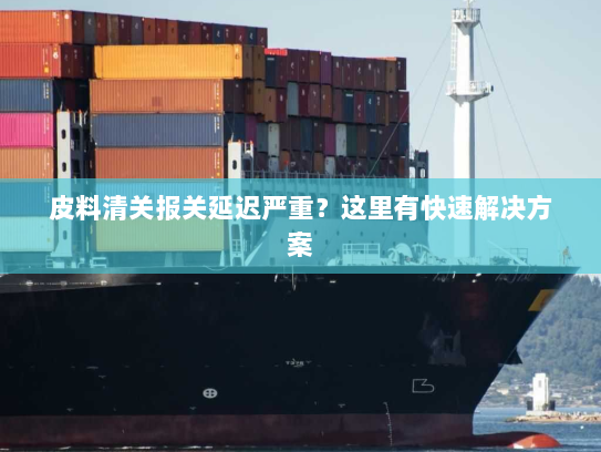 皮料清关报关延迟严重?这里有快速解决方案 皮料清关报关延迟严重?这里有快速解决方案