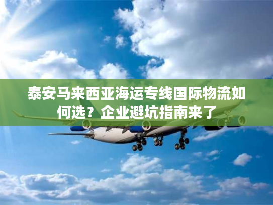 泰安马来西亚海运专线国际物流如何选？企业避坑指南来了