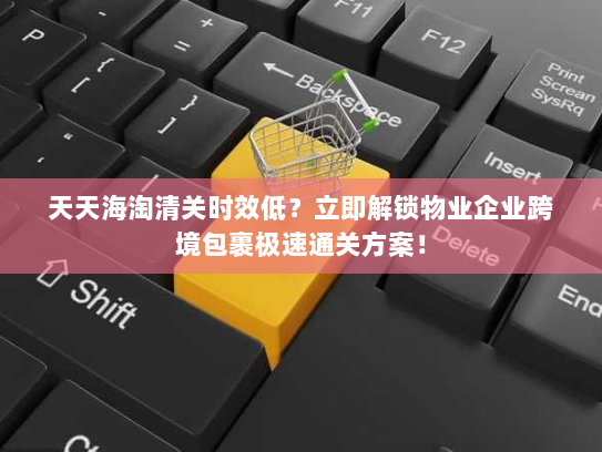 天天海淘清关时效低?立即解锁物业企业跨境包裹极速通关方案! 天天海淘清关时效低?立即解锁物业企业跨境包裹极速通关方案!