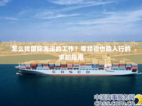 怎么找国际海运的工作？零经验也能入行的求职指南