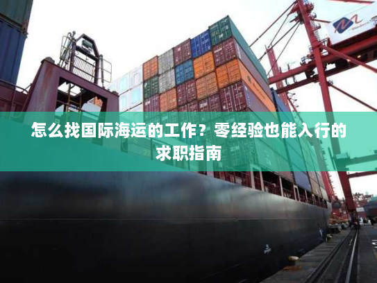怎么找国际海运的工作？零经验也能入行的求职指南